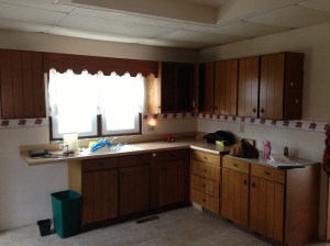 The large kitchen footprint has only this for working and storage space. The other two walls are completely empty.