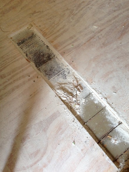 Original wood floors under the plywood?