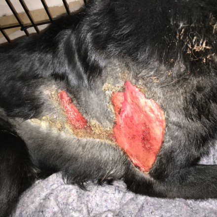 Wednesday, February 10