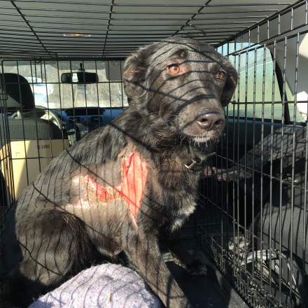 Friday, February 12 on the way to See Annie